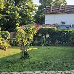 Guest House La Palazzina